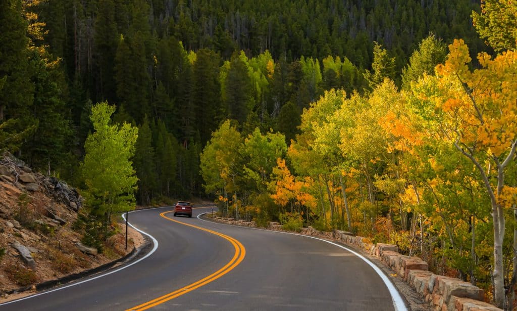 winding road going through fall covered trees 