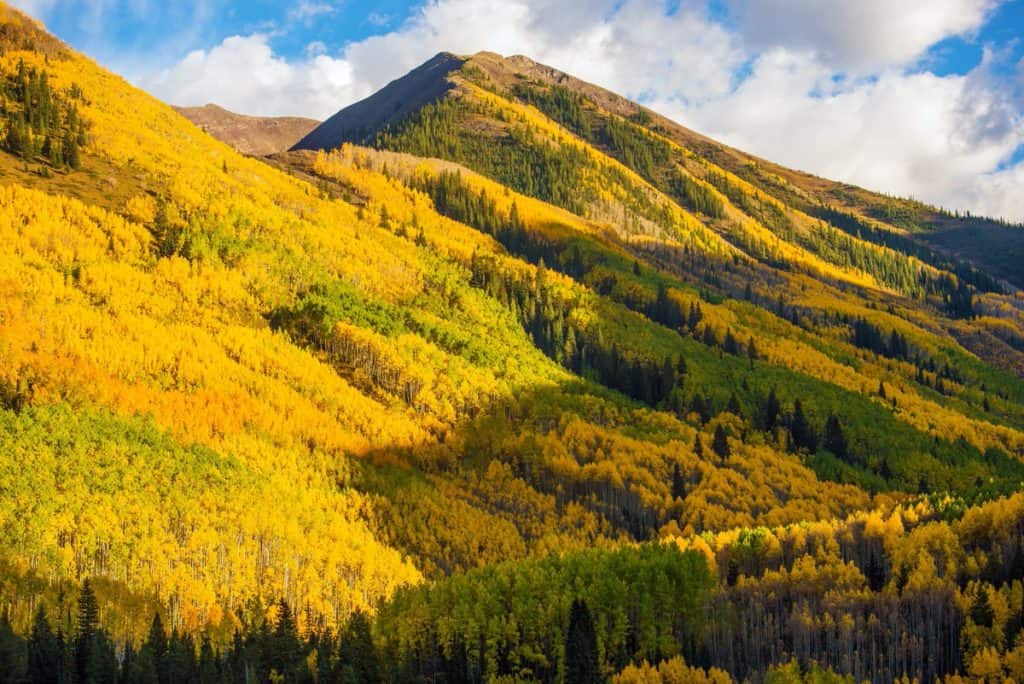 Colorado fall colors forecast 2023