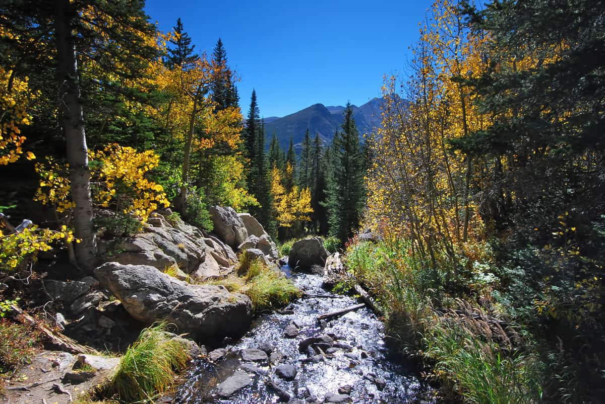 15 Things to Do During Fall in Denver - Delightfully Denver