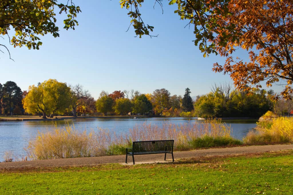 A peaceful autumn scene with a solitary park bench overlooking a tranquil lake surrounded by trees with golden yellow and rust-colored leaves. The clear blue sky and calm water reflect the serene atmosphere of an idyllic fall day.
