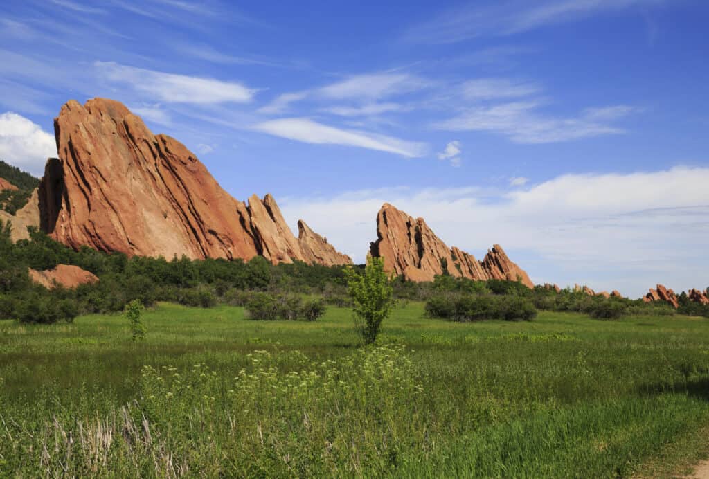 Vibrant image of towering red rock formations with a sharp, jagged appearance set against a blue sky with wispy clouds. A lush green meadow with wildflowers and a single young tree in the foreground completes this picturesque natural scene.